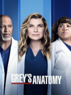 Grey's Anatomy streaming