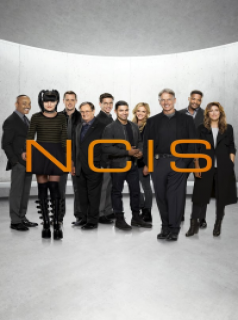 NCIS : Enquêtes spéciales saison 12 épisode 9