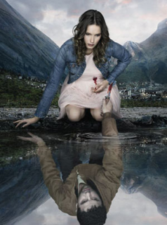 Les Revenants Saison 1 en streaming français