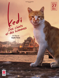 Kedi - Des chats et des hommes