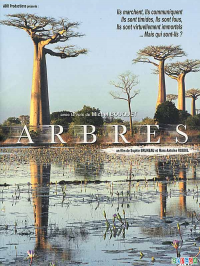 Arbres streaming