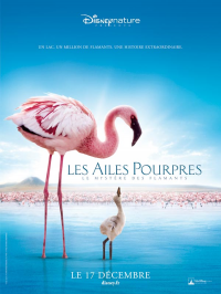 Les Ailes pourpres : le mystère des flamants streaming