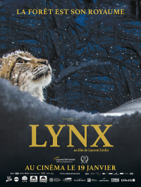 Lynx streaming