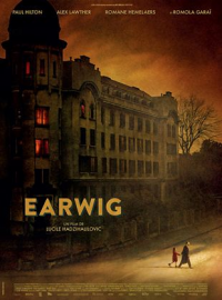 Earwig